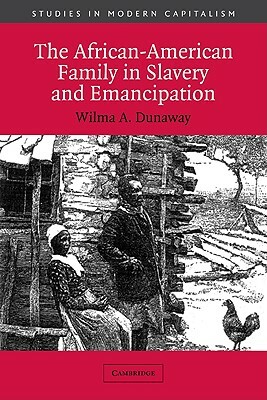 The African-American Family in Slavery and Emancipation by Wilma A. Dunaway, Wilma A. Dunaway