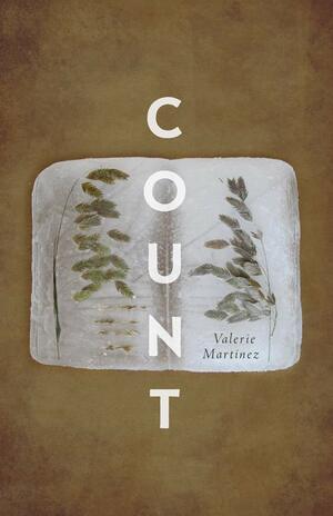 Count by Valerie Martinez