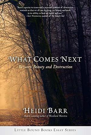What Comes Next: Between Beauty and Destruction by Heidi Barr, Heidi Barr