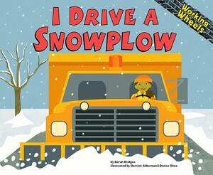 I Drive a Snowplow by Sarah Bridges Phd