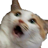 nayabrown's profile picture