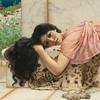 vierdandi's profile picture