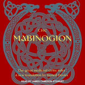 The Mabinogion by Anonymous