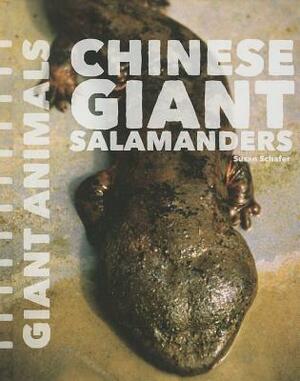 Chinese Giant Salamanders by Susan Schafer