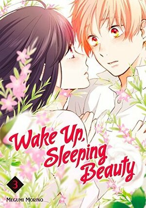 Wake Up, Sleeping Beauty, Volume 3 by Megumi Morino