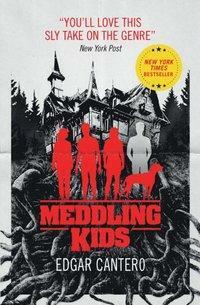 Meddling Kids by Edgar Cantero