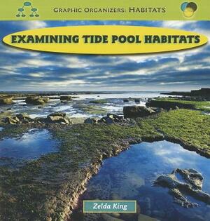 Examining Tide Pool Habitats by Zelda King