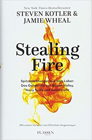 Stealing Fire: Spitzenleistungen aus dem Labor: Das Geheimnis von Silicon Valley, Navy Seals und vielen mehr by Jamie Wheal, Steven Kotler