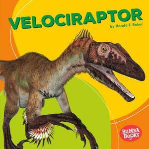 Velociraptor by Harold Rober