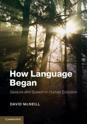 How Language Began: Gesture and Speech in Human Evolution by David McNeill