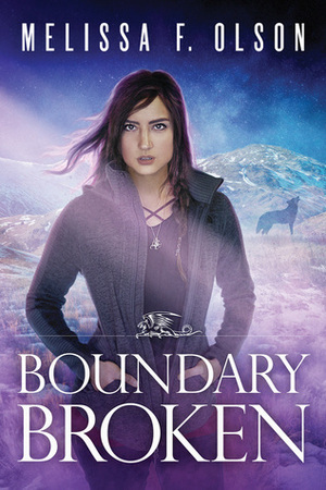 Boundary Broken by Melissa F. Olson