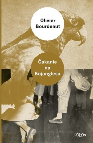 Čakanie na Bojanglesa by Olivier Bourdeaut