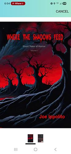 Where The Shadows Feed by Joe Ippolito