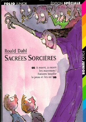 Sacrées Sorcières by Roald Dahl