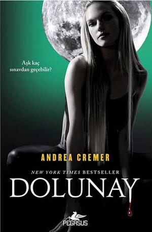 Dolunay by Andrea Cremer