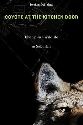 Coyote at the Kitchen Door: Living with Wildlife in Suburbia by Stephen DeStefano