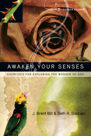 Awaken Your Senses: Exercises for Exploring the Wonder of God by Beth A. Booram, J. Brent Bill