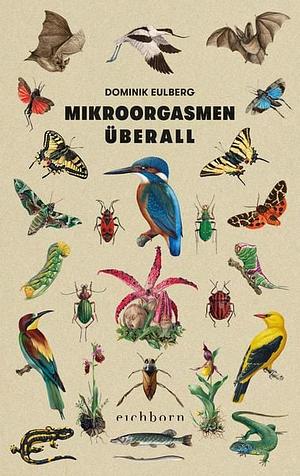 Mikroorgasmen überall by Dominik Eulberg