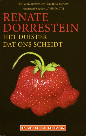 Het duister dat ons scheidt by Renate Dorrestein