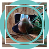 annebychapters's profile picture