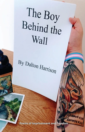 The Boy Behind the Wall by Dalton Harrison