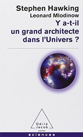Y A-T'IL UN GRAND ARCHITECTE DANS L'UNIVERS by Stephen Hawking, Leonard Mlodinow