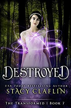 Destroyed by Stacy Claflin