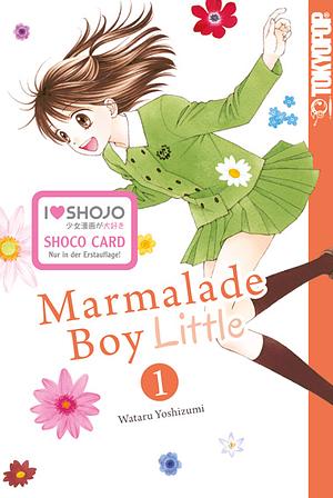 Marmalade Boy Little, Band 1 by Wataru Yoshizumi