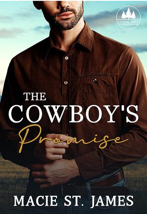 The Cowboy's Promise by Macie St. James