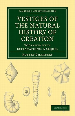 Vestiges of the Natural History of Creation by Robert Chambers