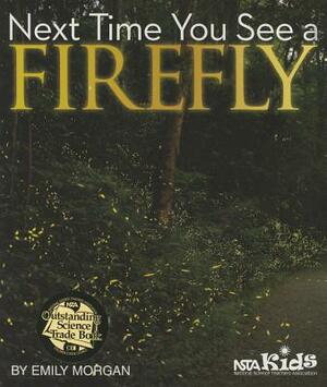 Next Time You See a Firefly by Emily Morgan