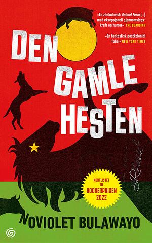 Den gamle hesten by NoViolet Bulawayo