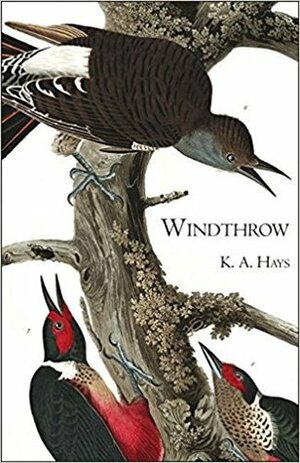 Windthrow by K.A. Hays