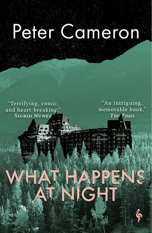 What Happens at Night by Peter Cameron