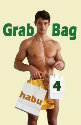 Grab Bag 4: A Gay Erotica Anthology by Habu