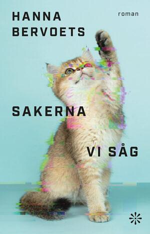 Sakerna vi såg by Hanna Bervoets