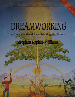 Dreamworking: A Comprehensive Guide to Working with Dreams by Strephon Kaplan Williams