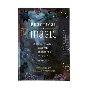 Practical Magic by Nikki Van De Car