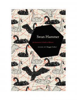 Swan Hammer: An Instructor's Guide to Mirrors by Maggie Graber