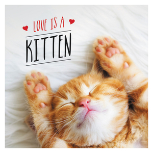 Love Is a Kitten: A Cat-Tastic Celebration of the World's Cutest Kittens by Charlie Ellis