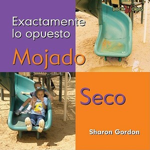 Mojado Seco = Wet/Dry by Sharon Gordon