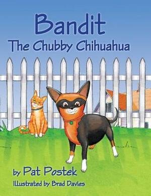 Bandit, The Chubby Chihuahua by Pat Postek