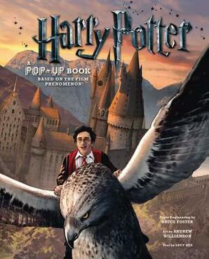 Harry Potter: A Pop-Up Book by Andrew Williamson