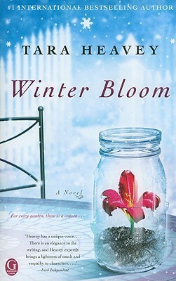 Winter Bloom by Tara Heavey