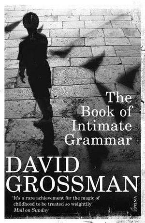 The Book Of Intimate Grammar by David Grossman, David Grossman