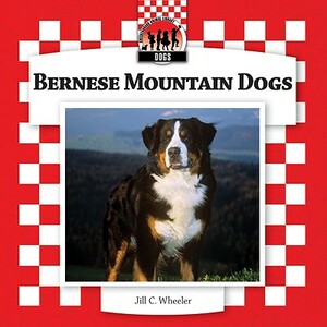 Bernese Mountain Dogs by Jill C. Wheeler