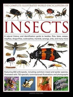 The Complete Illustrated World Encyclopedia of Insects: A Natural History and Identification Guide to Beetles, Flies, Bees, Wasps, Mayflies, Dragonfli by Martin Walters