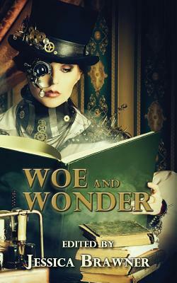 Woe and Wonder: 2016 Story of the Month Club Anthology by Kevin Ikenberry, Steven L. Sears, Peter J. Wacks