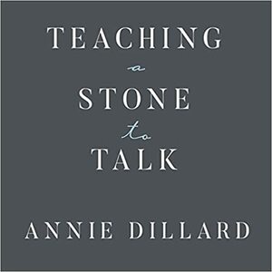Teaching a Stone to Talk Lib/E: Expeditions and Encounters by Annie Dillard