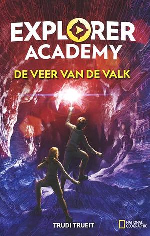 De veer van de valk by Trudi Trueit